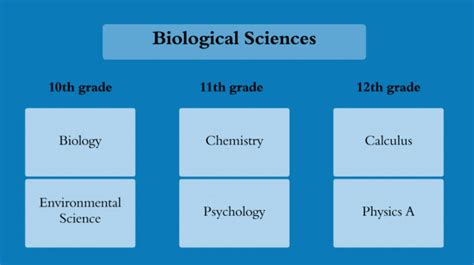 Made a 6 course AP path for the 10 most popular majors. Some are better than others just because ...