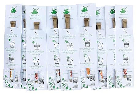 Sow and Grow Plantable Recycled Seed Paper Pen (Pack of 10 Single Pens ...