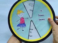 Discover 13 Sense organs chart and senses preschool ideas on this ...