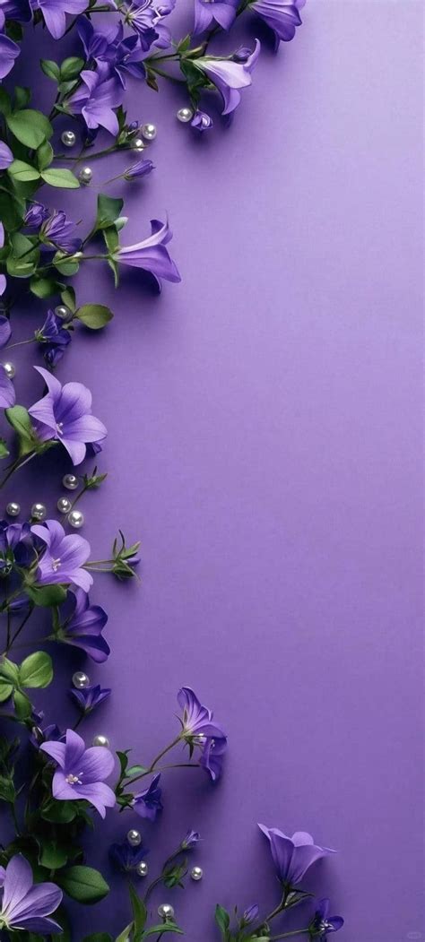 Image result for Background Mau Tim