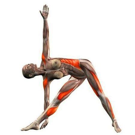 Image result for Stretch Leg Tutorial