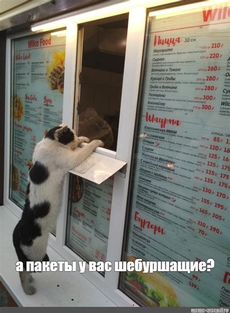 Создать мем "шаурма реклама, шаурма кот, кот шаурма картинки ...