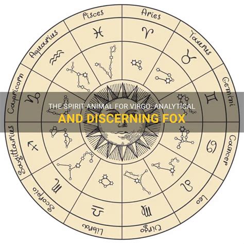 The Spirit Animal For Virgo: Analytical And Discerning Fox | ShunSpirit