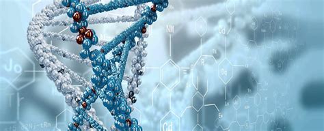 CHEMAZON LABS – Excelling in life – Sciences Services