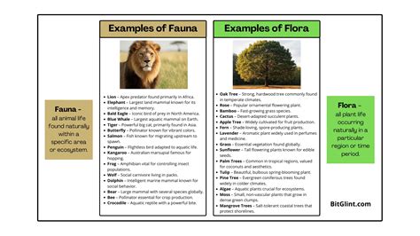 Flora and Fauna: 30 Examples, Definition & Types - BitGlint