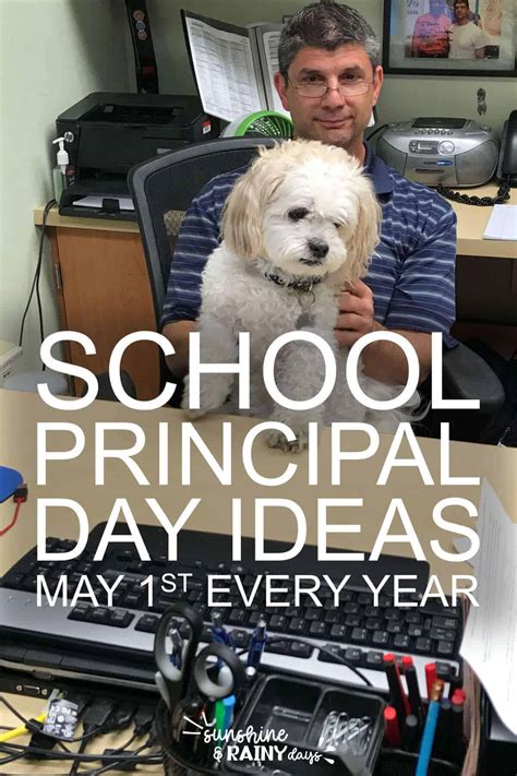 School Principal Day Ideas - Sunshine and Rainy Days