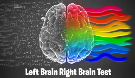 Right Brain Left Brain 的图像结果