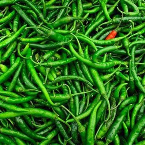 Fresh Green Chilli Manufacturer, Supplier from Delhi