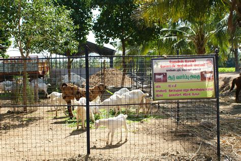 ICAR | Roever Krishi Vigayan Kendra