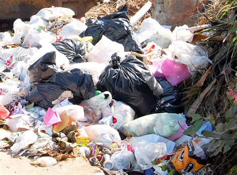 India Would Need To Bring More Than 21,000 Acres Of Land Under Waste ...