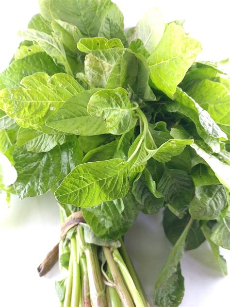 Country Mulai Keerai Seeds/Mulai Keerai Vithai/Thandu Keerai Vithai 5g ...