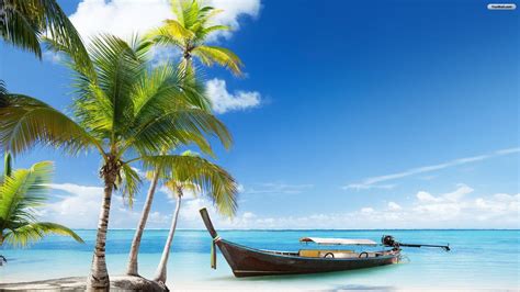 Bing Summer Beach Wallpaper 的图像结果