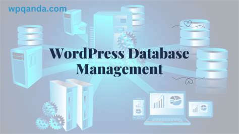 Image result for WordPress Database Management