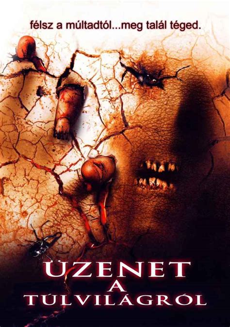 Eloisa De Laurentiis Best Movies and Shows List from 2005 to 2004