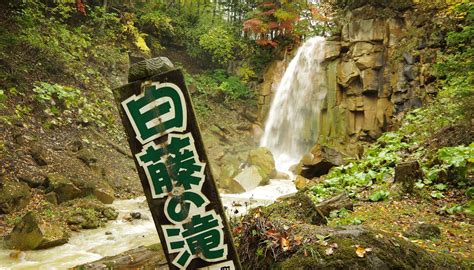 SHIRAFUJI NO TAKI WATERFALL (2026) All You Need to Know BEFORE You Go ...