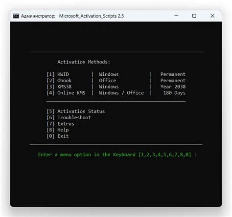 Image result for Windows Script Activator