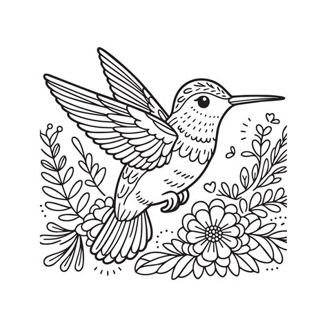 Coloring Pages Of Hummingbirds