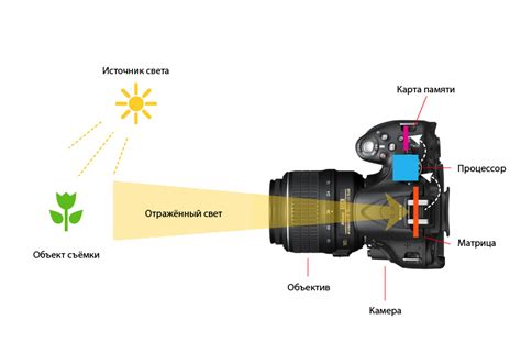 Экспозиция. Часть 3. Как измеряется экспозиция? Ступени экспозиции ...