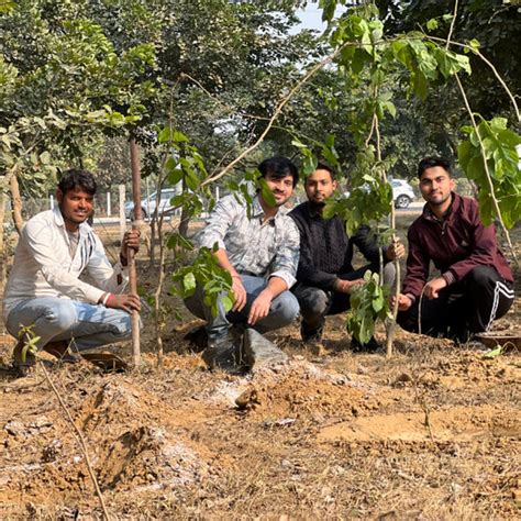 Reforesting with Purpose: IVCA’s Agroforestry Tree Plantation Program ...