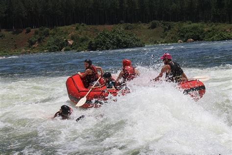 WILD HEART AFRICAN SAFARIS (2026) All You Need to Know BEFORE You Go ...