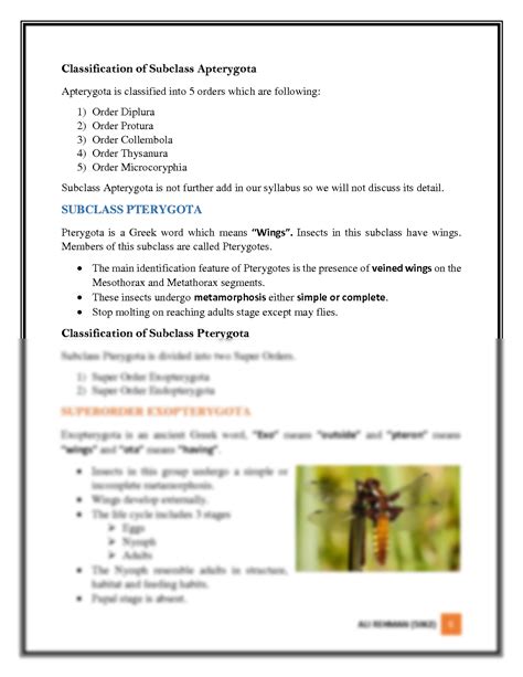 Image result for Classification of Class Insecta