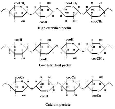 Image result for Pectin Structure
