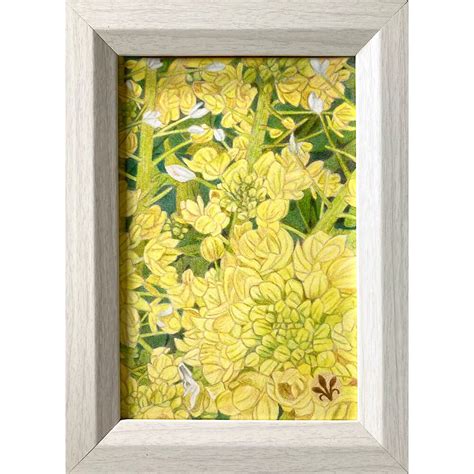 彩《10》〜 菜の花 〜 」 | yotto's gallery【 色鉛筆画 】