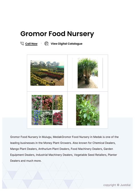 Gromor Food Nursery in Mulugu,Medak - Best Money Plant Growers near me ...
