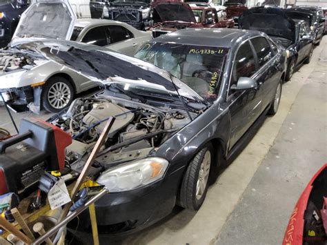 Vehicle List - Ewe Pullet