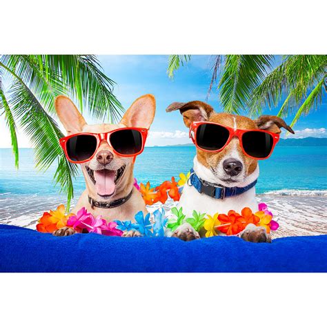 Buy Allenjoy 7x5ft Tropical Beach Background Summer Luau Palm Leaves ...