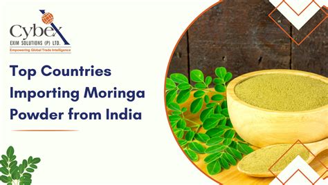 How to start moringa export from India- 2025 Buyers and Data