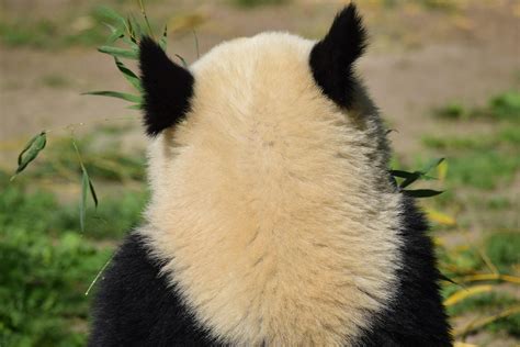 Posjet Beču s djecom: Vodič za roditelje za bezbrižno obiteljsko ...