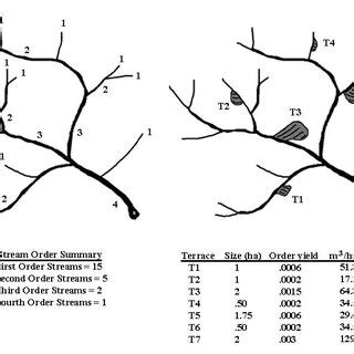 Image result for High Order Stream