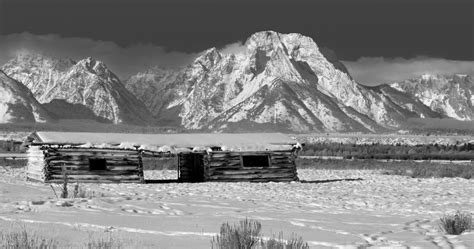 Image result for Multiplicity Photography Examples