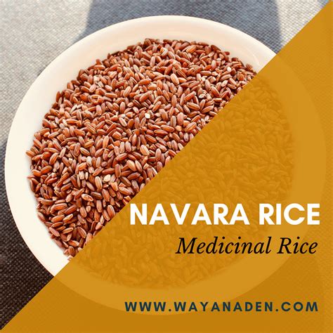 Navara - The Medicinal Rice – Wayanaden
