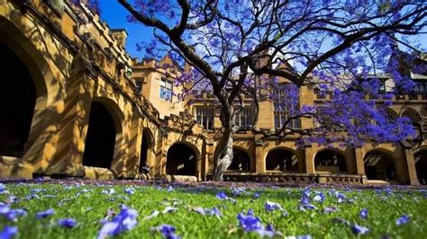 澳洲留学申请较容易的大学名单-澳洲八大