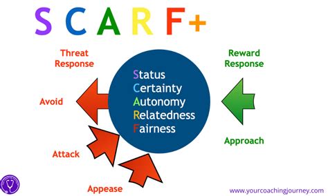 Scarf Model 的图像结果