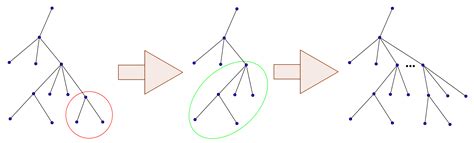 Stamp Example Simple Induction 的图像结果