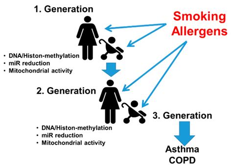 Airway Wall Remodeling in Childhood Asthma—A Personalized Perspective from Cell Type-Specific ...