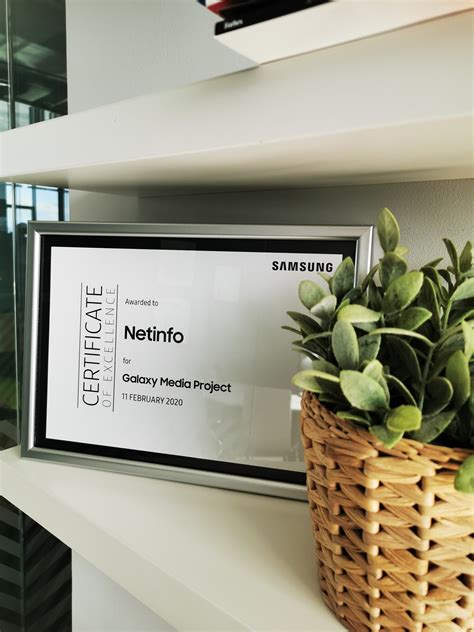 NetInfo Logo 的图像结果