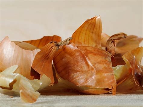 Benefits of Vegetable Peels: अरेरे! तुम्ही फळं आणि भाज्यांच्या साली ...