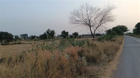 3.5 Acre Agricultural/Farm Land for Sale in Arang, Raipur - by CG Propmart