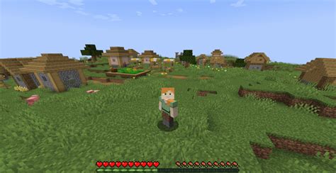 Image result for How to Change Camera View in Minecraft Java