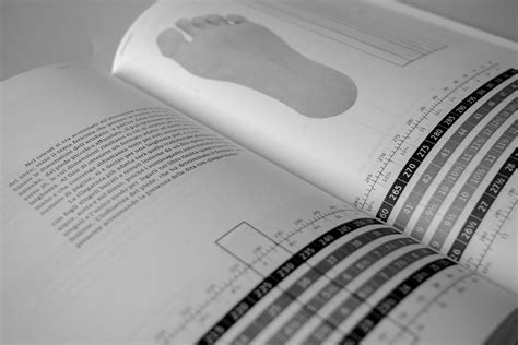 Image result for Visual Library Book