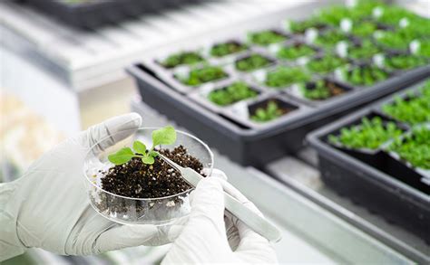 Image result for Controlled Environment Technology Examples