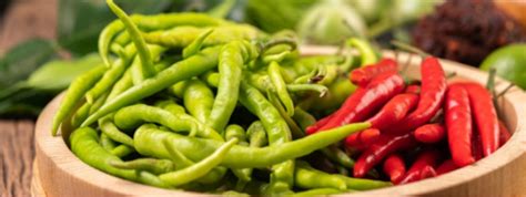 Ajay Bio-tech – Package-of-Practice