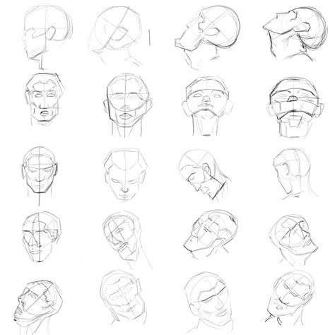 Human Head Anatomy Drawing at GetDrawings | Free download