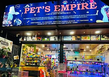 3 Best Pet Shops in Nagpur, MH - Expert Recommendations