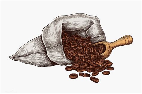 coffee grounds drawing