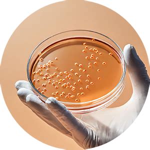 Everyday Hero - Cotton High Rise - Black Period Panty – Mahina